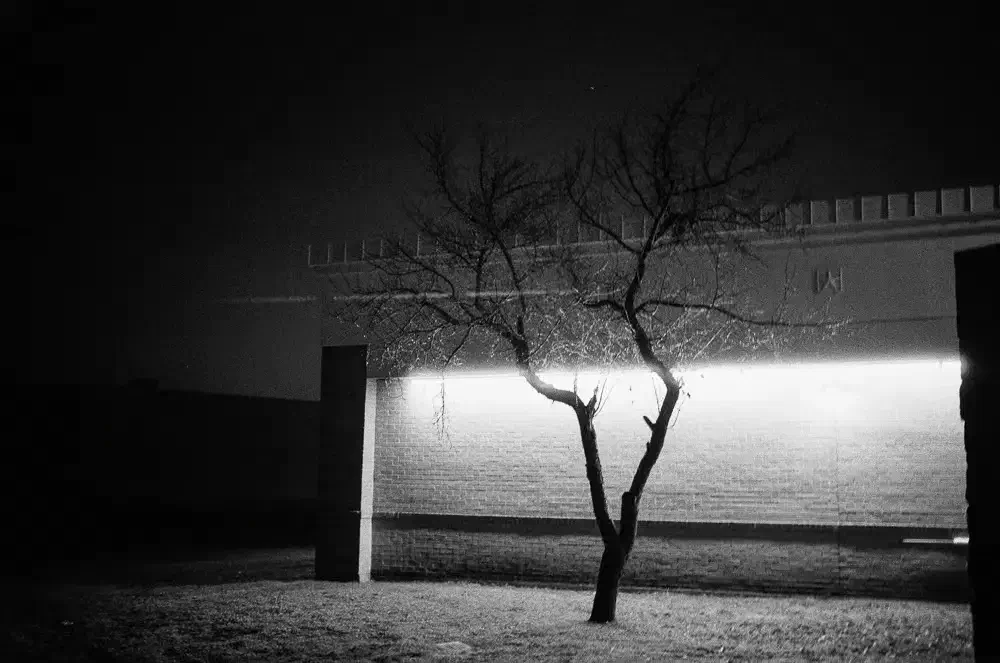 2026_01_09_01