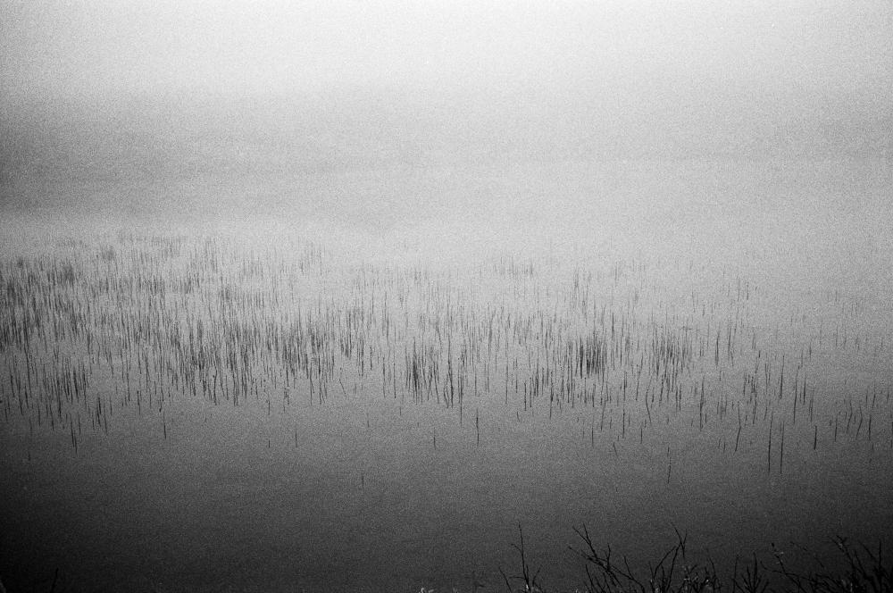 2026_03_18